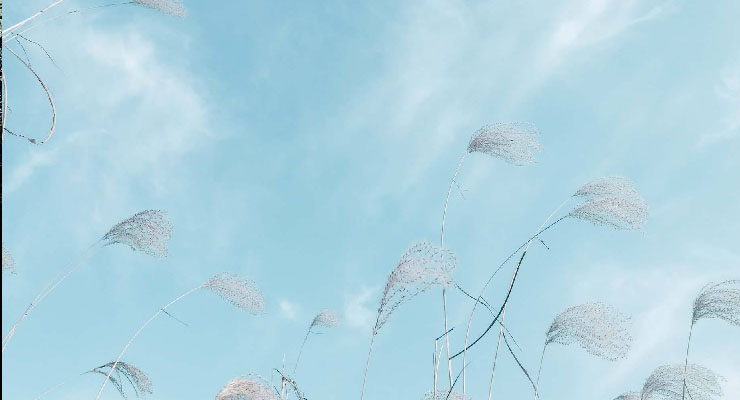 原创表情
