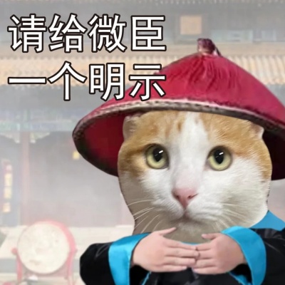 2025职场高情商必备 和领导交流绝不出错的表情包