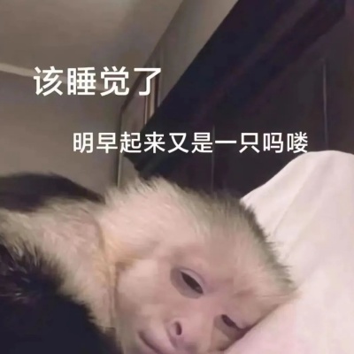 2025超搞怪吗喽表情包 一键开启欢乐聊天