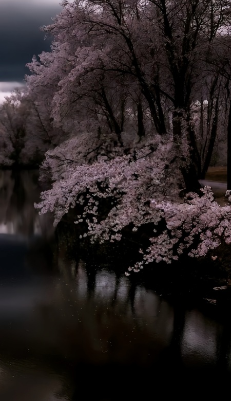 深夜模式聊天背景图 护眼又治愈的暗色浪漫