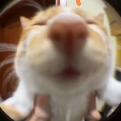 猥琐表情