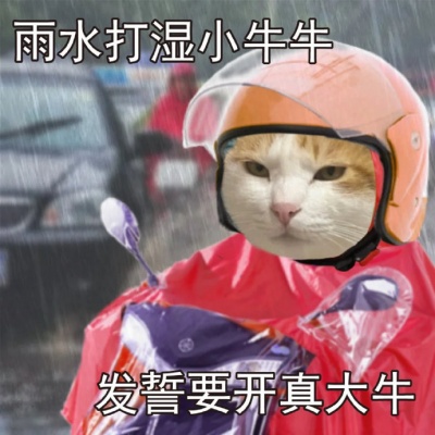 小电驴表情包分享 牛马打工人的赛博坐骑