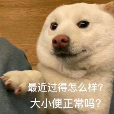 贱萌破局表情包合集 社交尴尬救星来啦