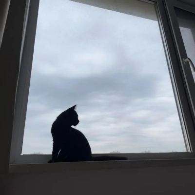 640 (6).jpg