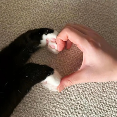 1758346411599566.jpg 9.jpg