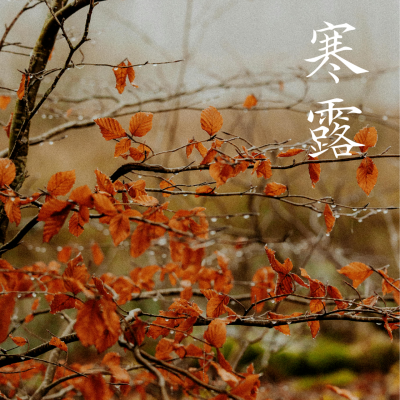 微信图片_2025-09-30_093349_643.png